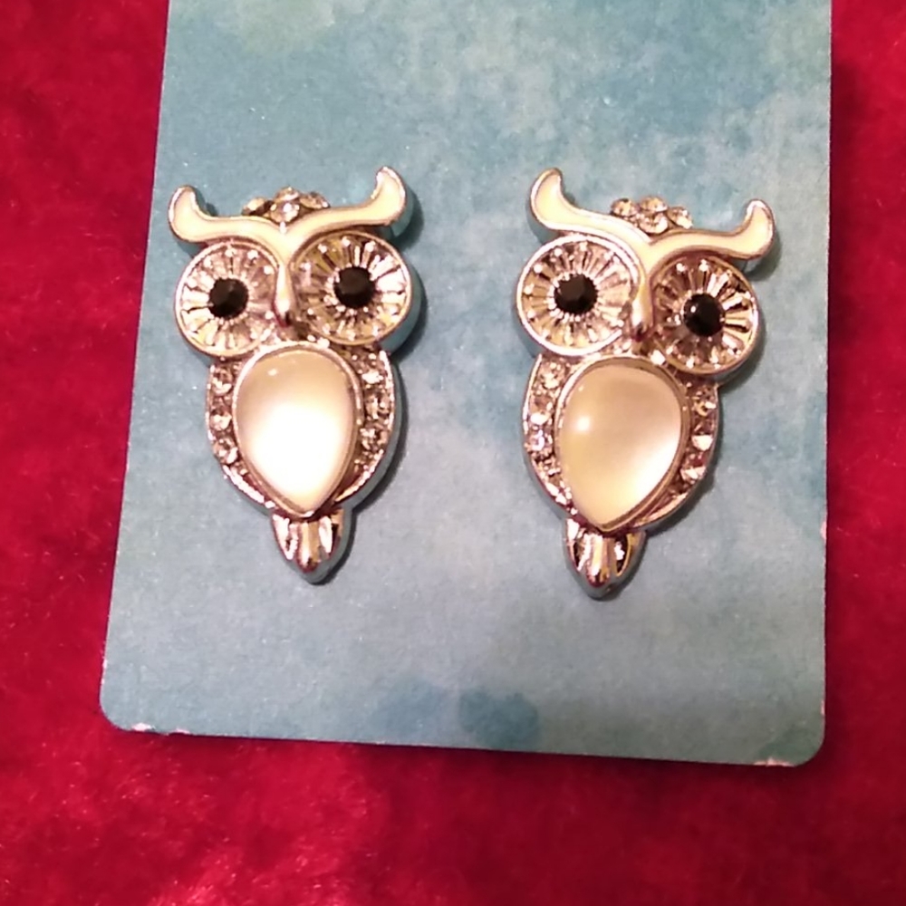 Beautiful Owl Earrings